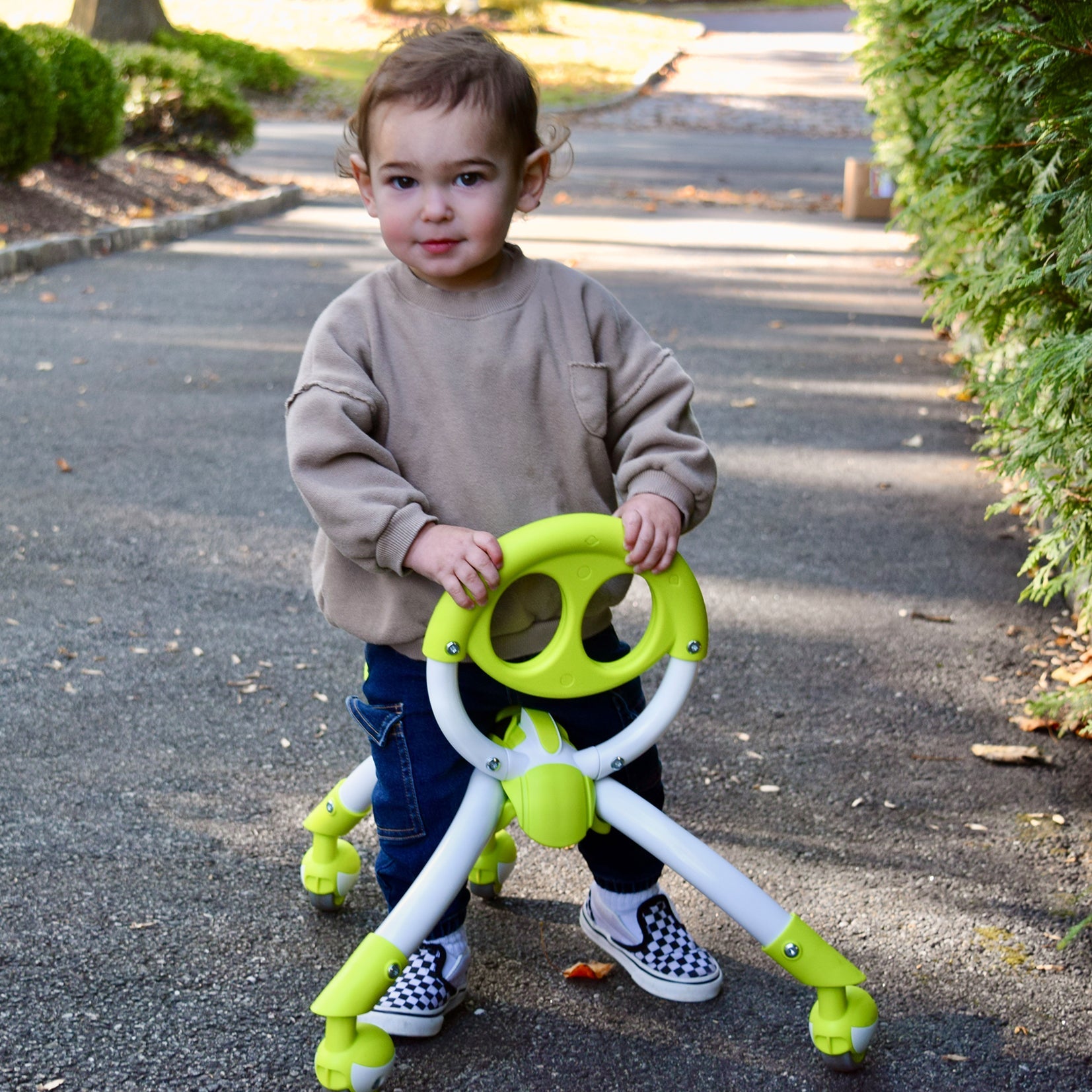 YBIKE Pewi Elite Walking/Ride On Toy - NSG Products