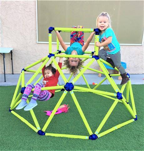 Eezy Peezy Monkey Bars Climber - NSG Products