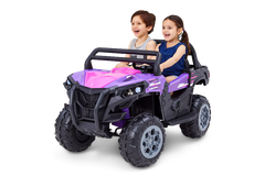 12V UTV