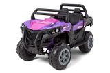 Load image into Gallery viewer, 12V UTV
