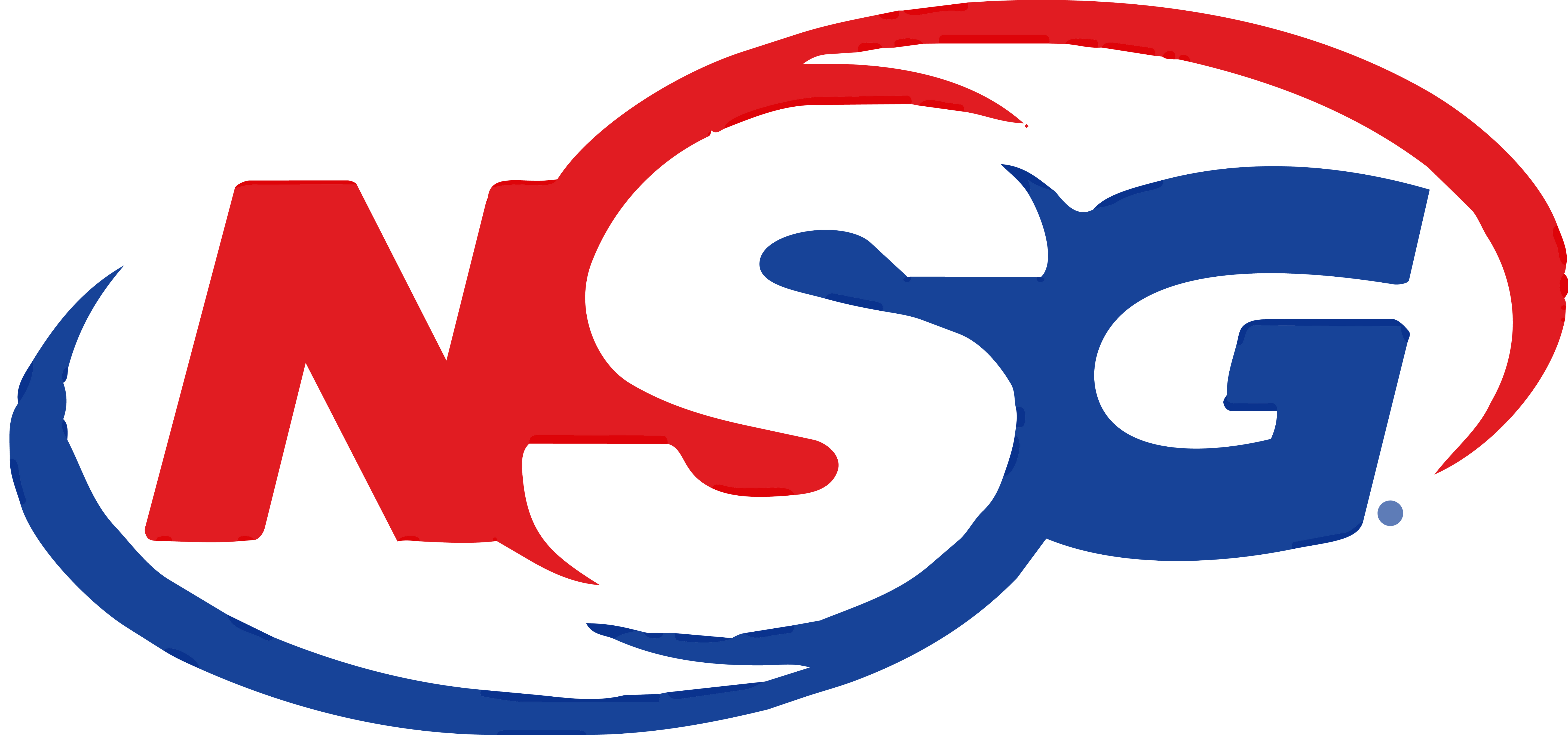 NSG Products