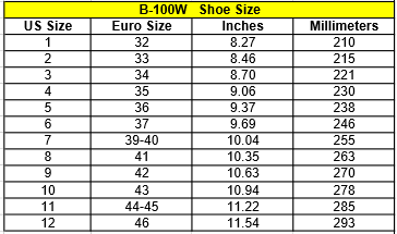 Chicago Ladies Bullet Speed Skate - NSG Products