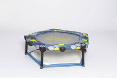 Eezy Peezy 3 in 1 Folding Bouncer - NSG Products