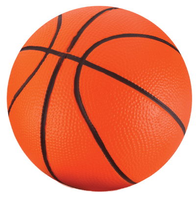 NSG Over The Door Basketball - NSG Products