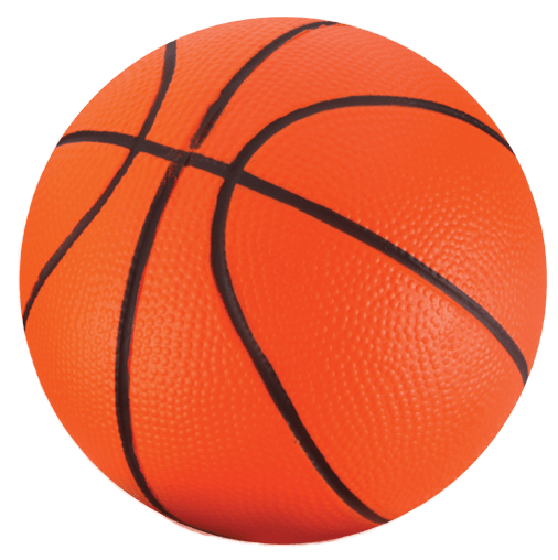 NSG Over The Door Combo: Speed Bag & Basket ball - NSG Products