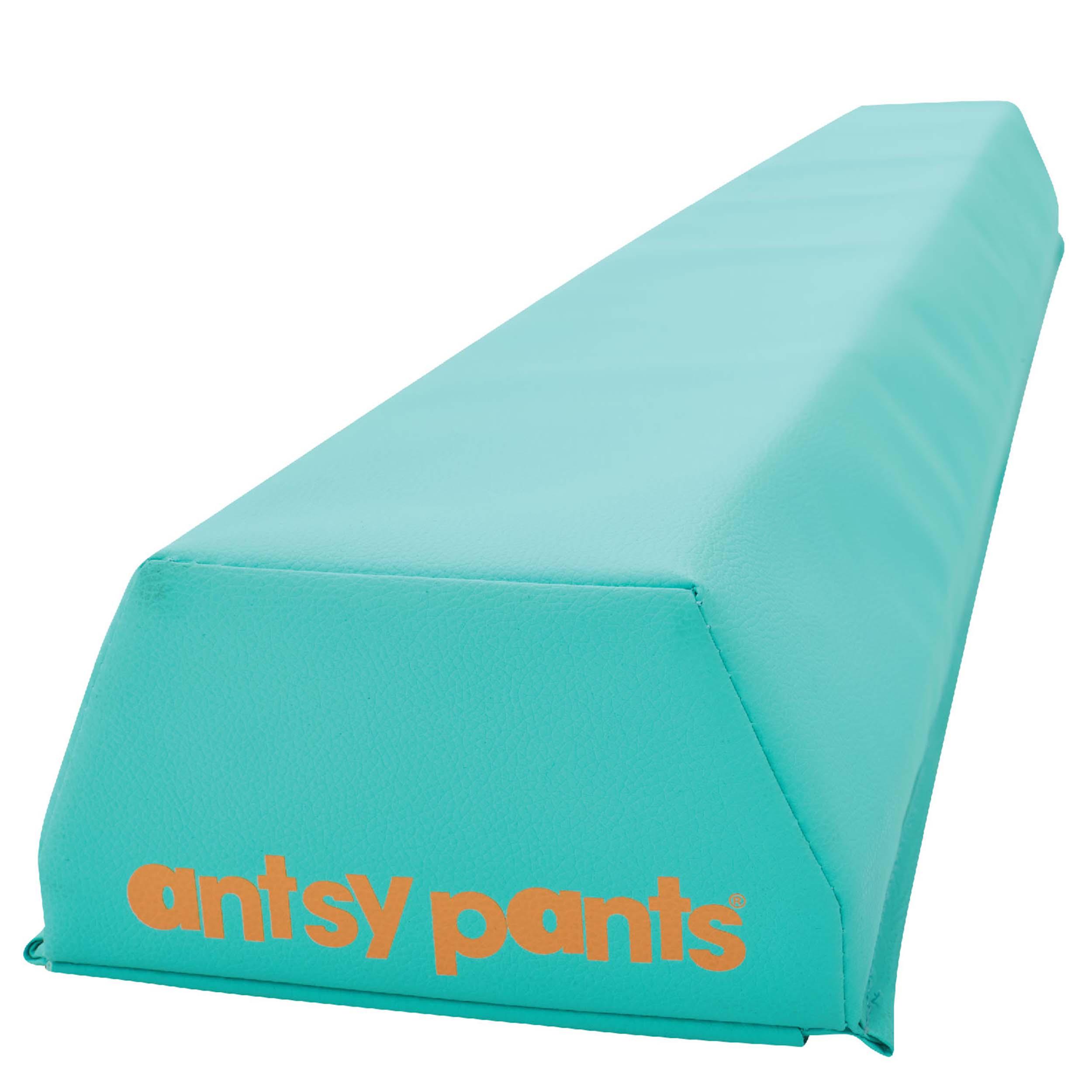 Antsy Pants Balance Beam - Flybar1