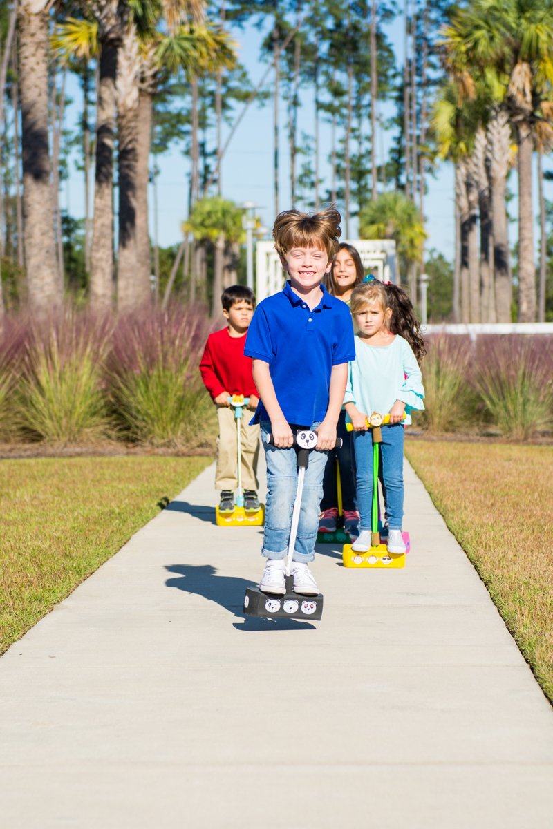 My First Flybar Pogo Stick, Light & Sound Kids