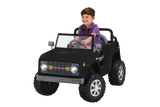 Load image into Gallery viewer, Classic Ford Bronco