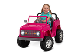 Load image into Gallery viewer, Classic Ford Bronco