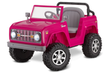 Load image into Gallery viewer, Classic Ford Bronco