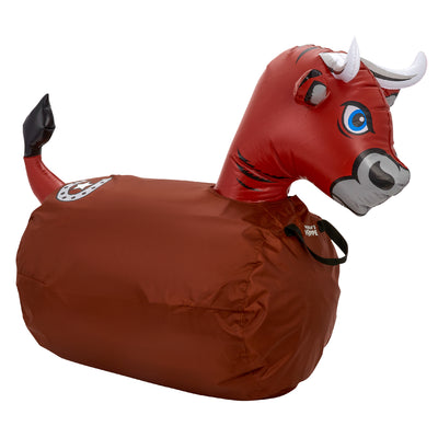 Waddle Large Hip Hopper Inflatable Bouncer, Ages 5+